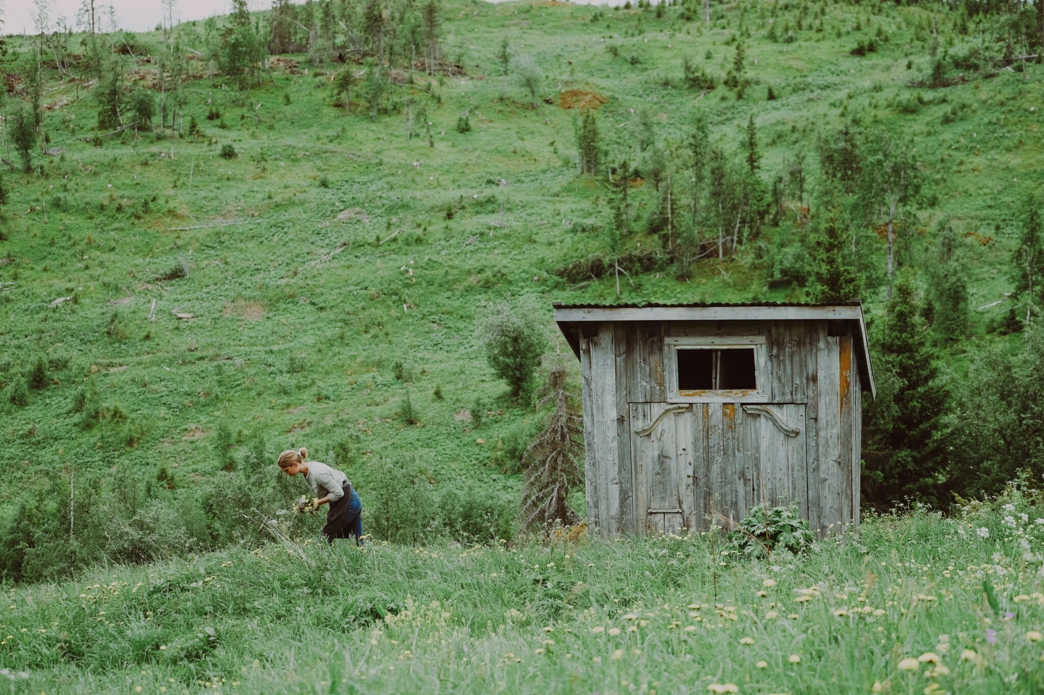 Breidr_fotografering juni 22_hires-5351 Arnemoen Gard | Krible design- og rådgivningsbyrå | Lillehammer og Gudbrandsdalen